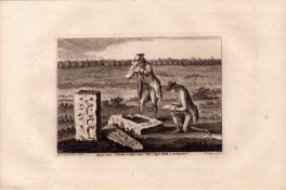 Monks Stone Northumberland F. Grose 1783 Copper Plate Engraving.