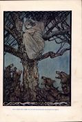 Straining & Snarling Wolves 1924 Irish Fairy Tales Arthur Rackham.