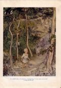 Fionn McCool Boyhood Horse 1924 Irish Fairy Tales Arthur Rackham.