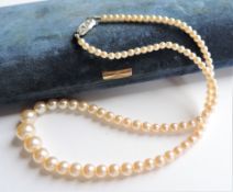 Vintage 17 inch Single Strand Graduated Pearl Necklace in Presentation Box