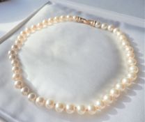 16 inch Pearl Necklace 44 x 8mm Pearls