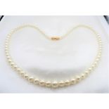 16 Inch Single Strand Pearl Necklace with Gift Pouch