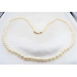 Classic Akoya Cultured Pearl Necklace 9K Gold Clasp 18 Inches