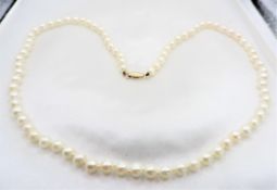 Classic Akoya Cultured Pearl Necklace 9K Gold Clasp 18 Inches