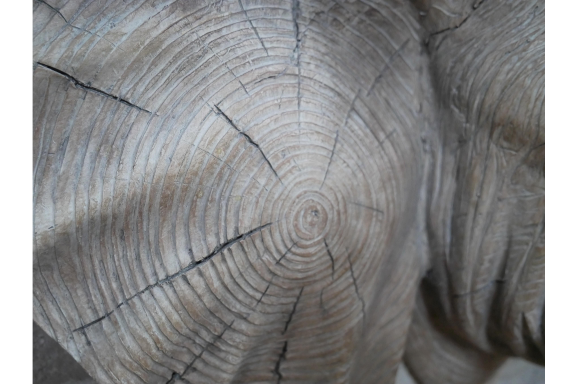 Elephant Head Wall Art