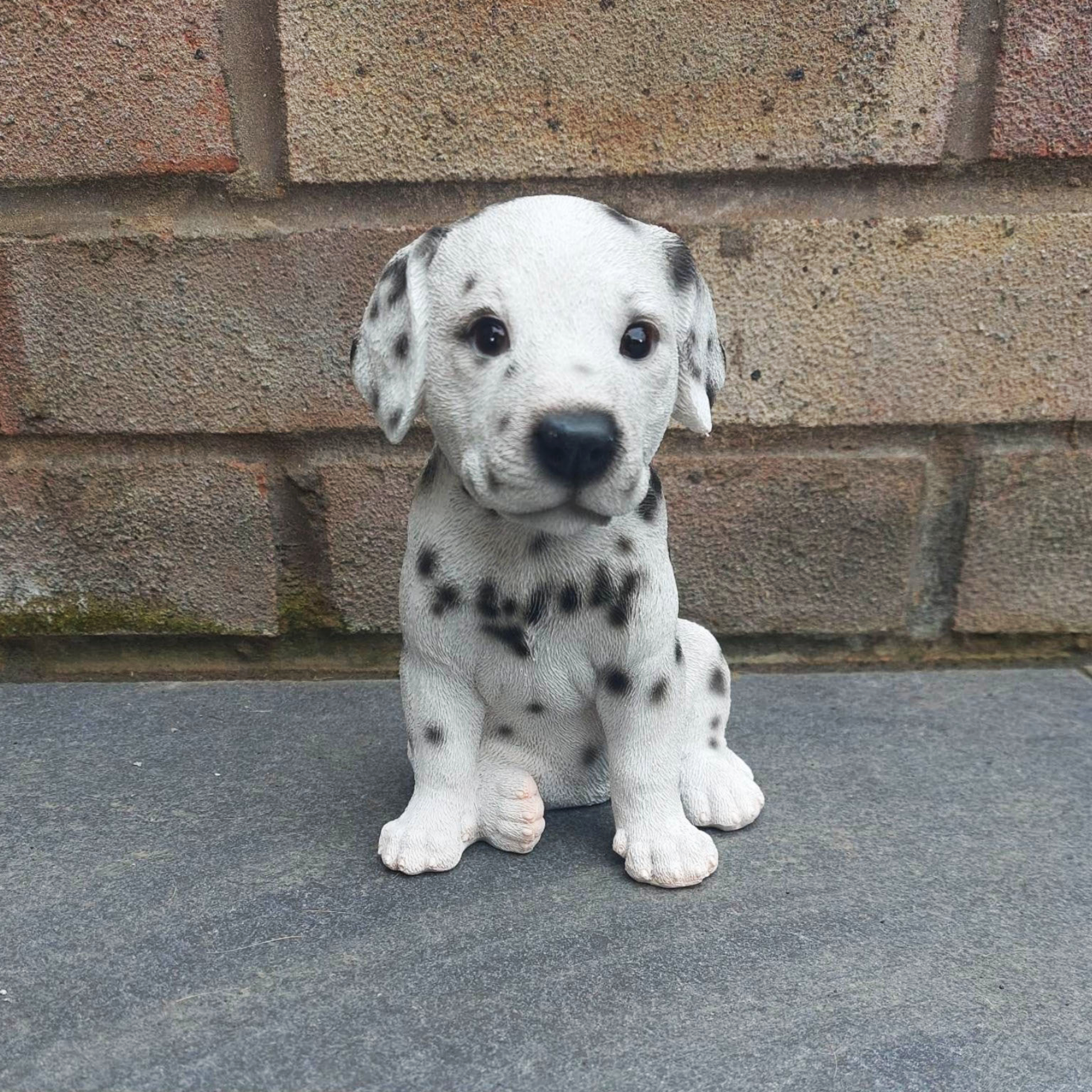 Dalmatian Puppy Indoor or Outdoor Ornament - Image 3 of 6