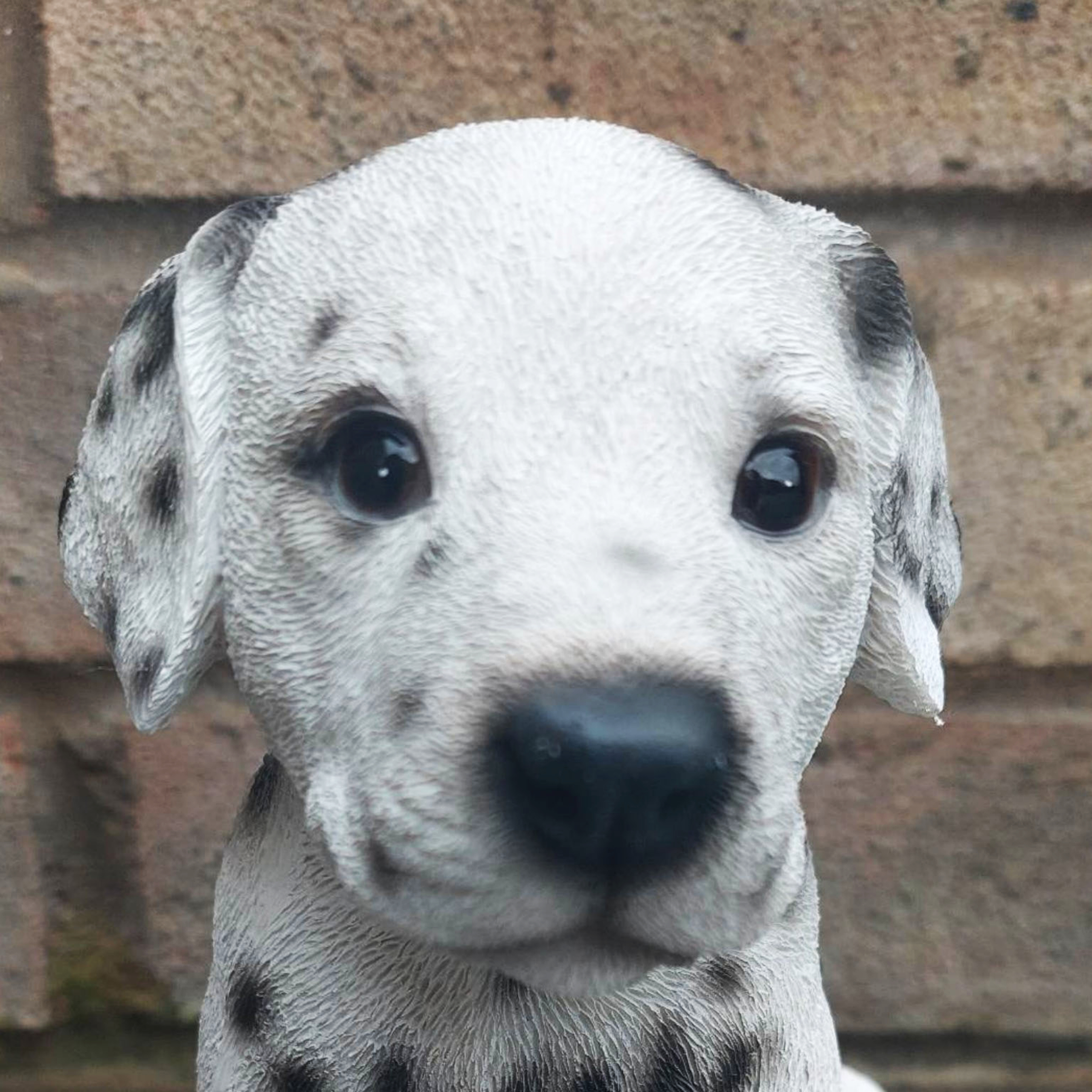 Dalmatian Puppy Indoor or Outdoor Ornament - Image 2 of 6