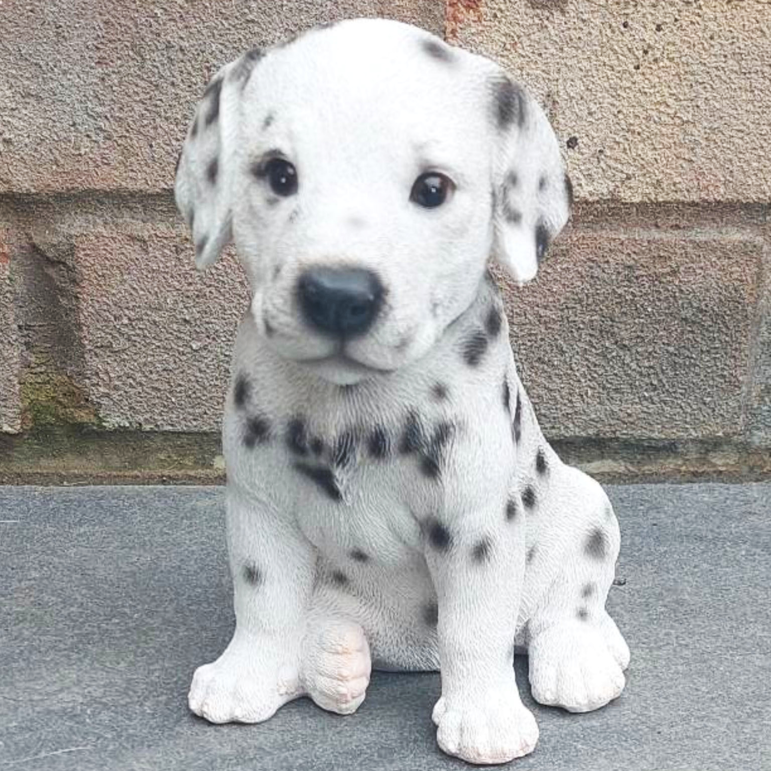 Dalmatian Puppy Indoor or Outdoor Ornament - Image 6 of 6