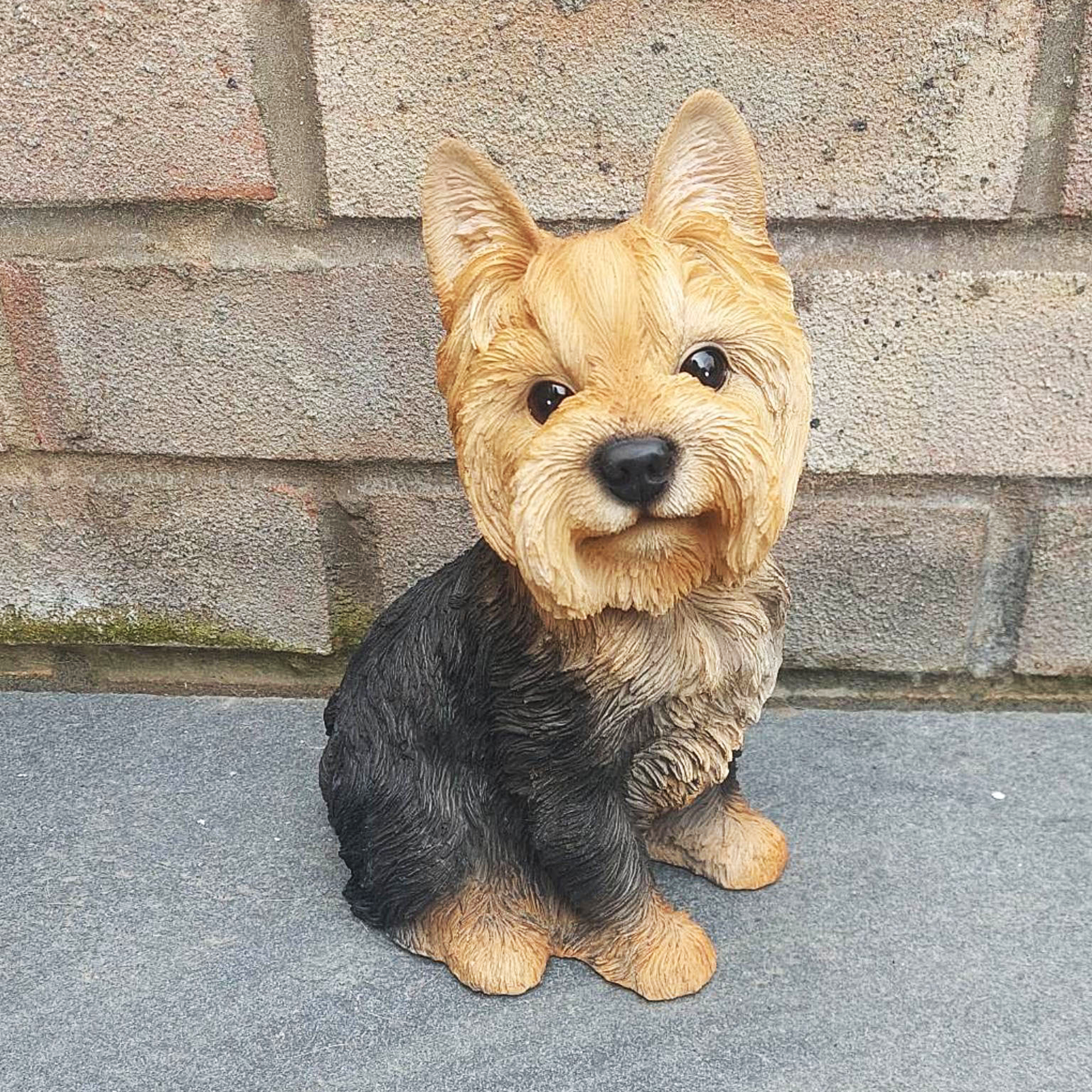 Sitting Yorkshire Terrier - Image 3 of 5