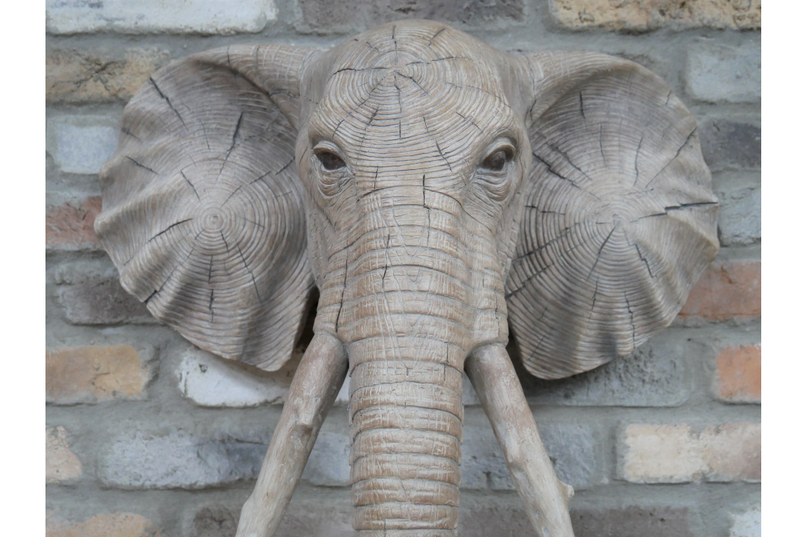 Elephant Head Wall Art - Image 4 of 5