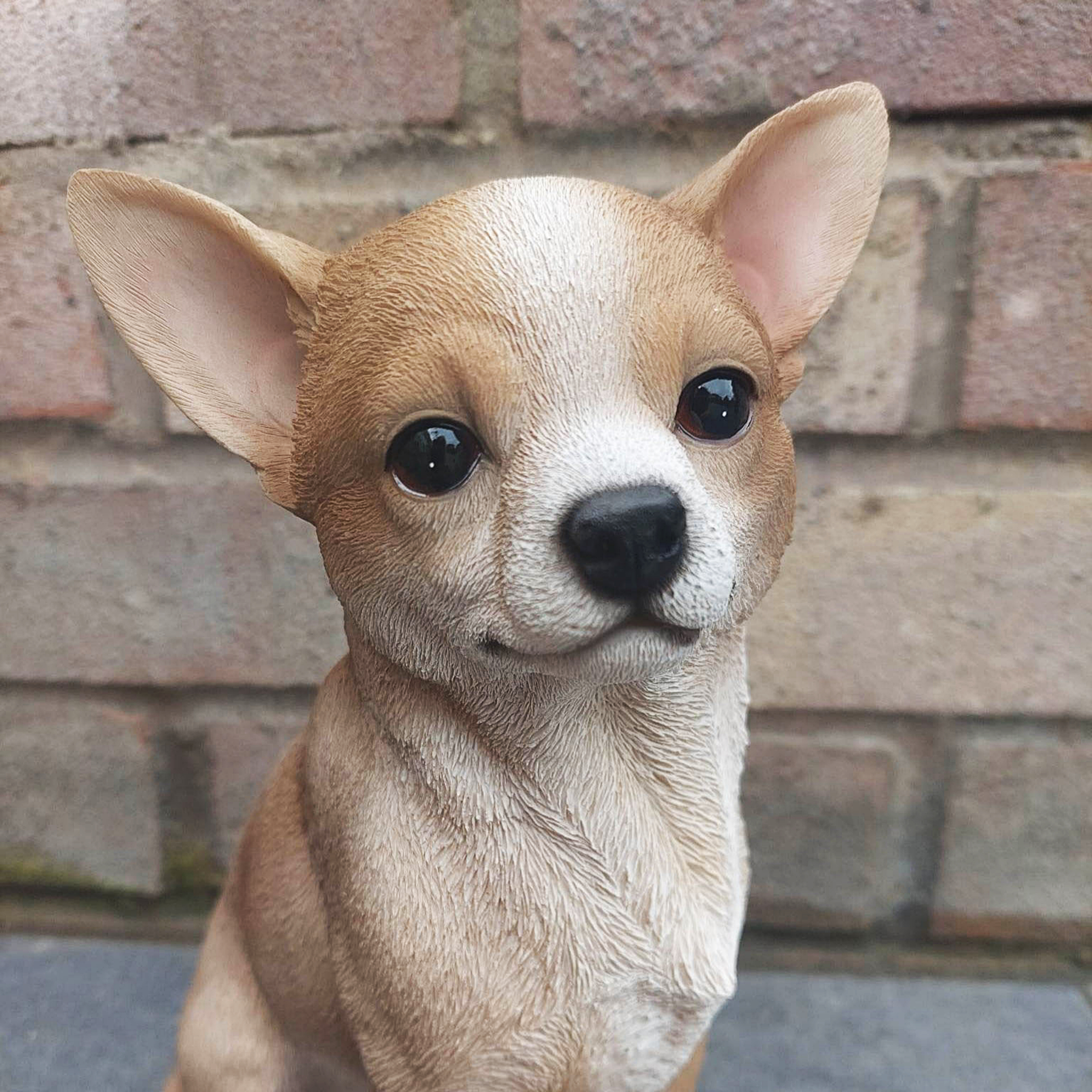 Sitting Chihuahua Garden or Home Ornament - Image 5 of 5