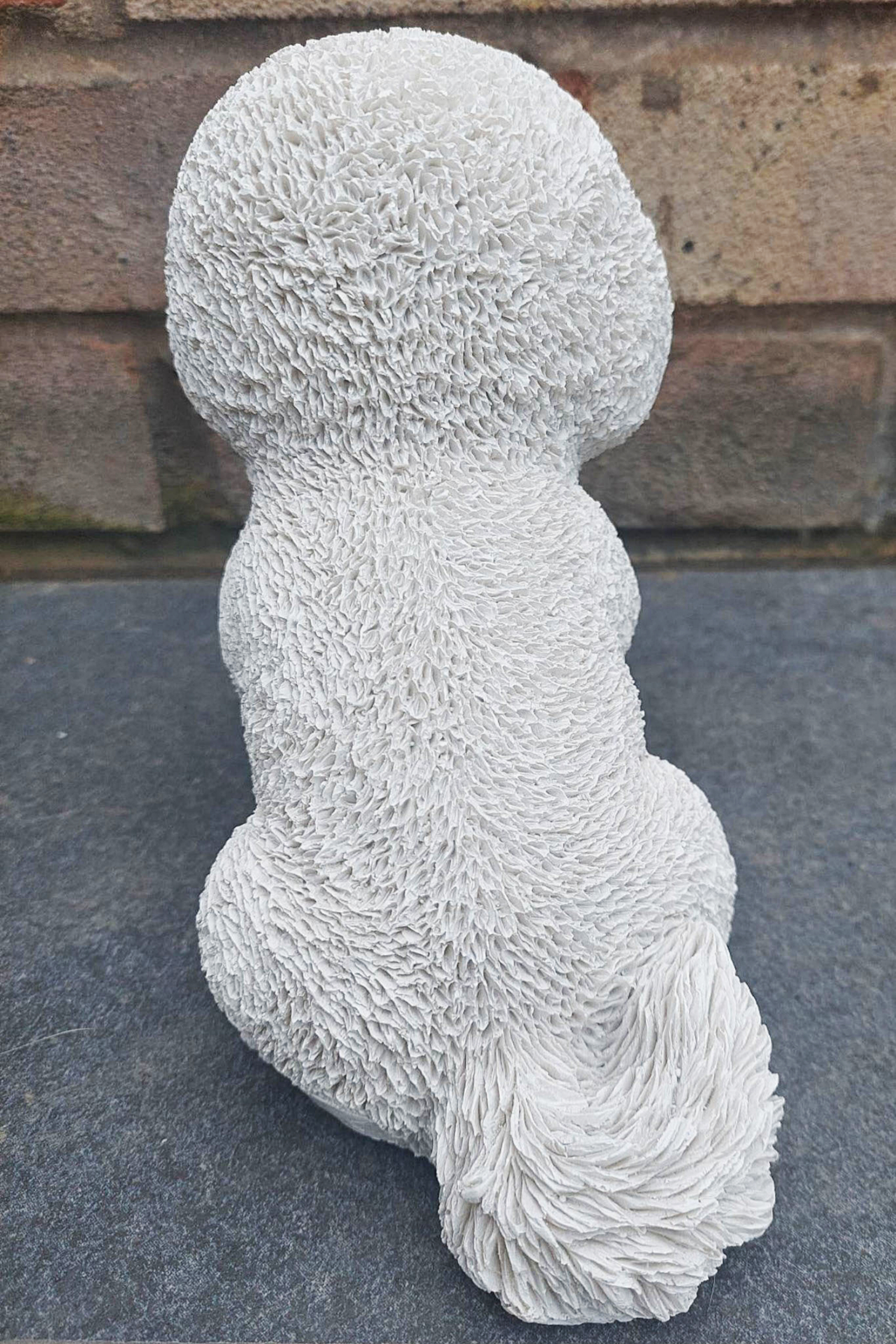 Well Groomed Sitting Bichon Frise Garden or Home Ornament - Image 4 of 4