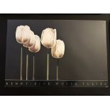 Five White Tulips By Steve Kenny, Bruce McGraw 1986