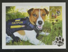 Ukraine War Stamps - The Dog Patron A Complete Set of Maxicards With Cherniv FDC Cancellations