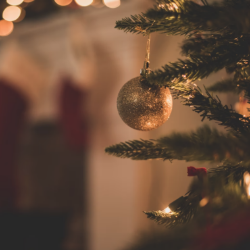 No Reserve Seasonal Decorations | Christmas & Halloween Homewares including Christmas Trees, Lights, Inflatables & more | No VAT on Hammer