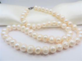 18"" Cultured Pearl Necklace Silver Clasp New with Gift Box