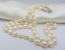 20"" Cultured Pearl Necklace 6mm Oval Pearls Silver Clasp - Includes Gift Box