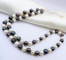 Cultured Pearl Necklace Silver Clasp New with Gift Box