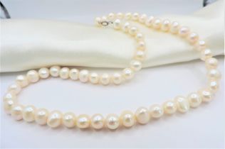 Cultured Pearl Necklace 7mm Pearls Silver Clasp New with Gift Box