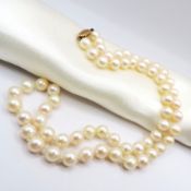 9K Gold Akoya Cultured Pearl Single Strand Necklace With Gift Box