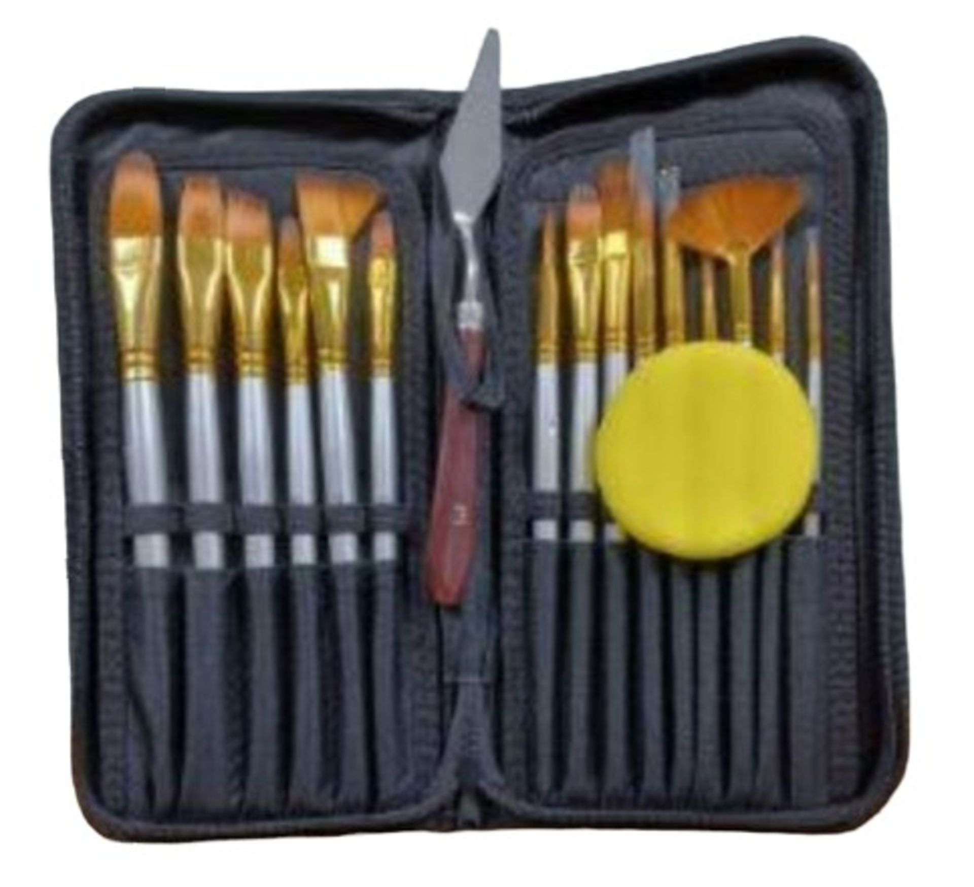 15 Piece Artists Paint Brush Set & Case Knife & Sponge Included