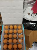 Bouncy Eggs From Paperchase. Box of 20 Eggs