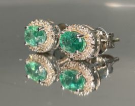 Beautiful Natural Emerald Halo Set Stud Earrings 18k White Gold