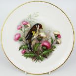 Collection of 8 Royal Worcester Bird Plates