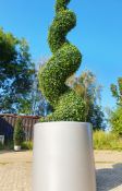 Large Industrial Metal Planter. Spiralling Artificial Hedge Plant. Approx 2.14m tall. Rrp £599