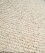 Brand New Roll of Carpet 5m x 2.8m Light Fawn. Rrp £234