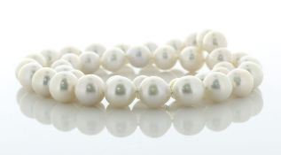 18 Inch White Round 10.0 - 12.0mm Ming Pearl Necklace With 9ct Yellow Gold Clasp