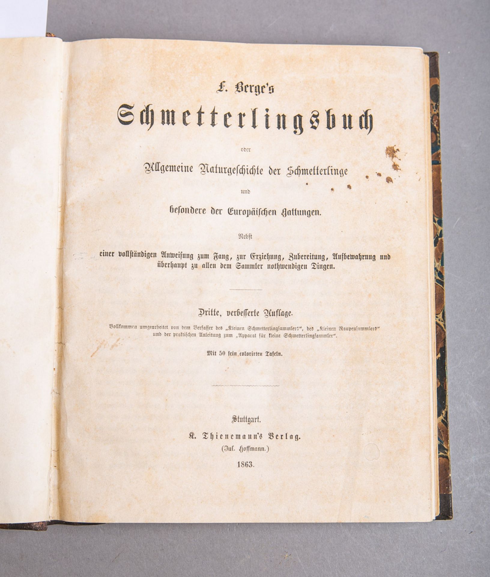 Fr. Berge's "Schmetterlingsbuch"