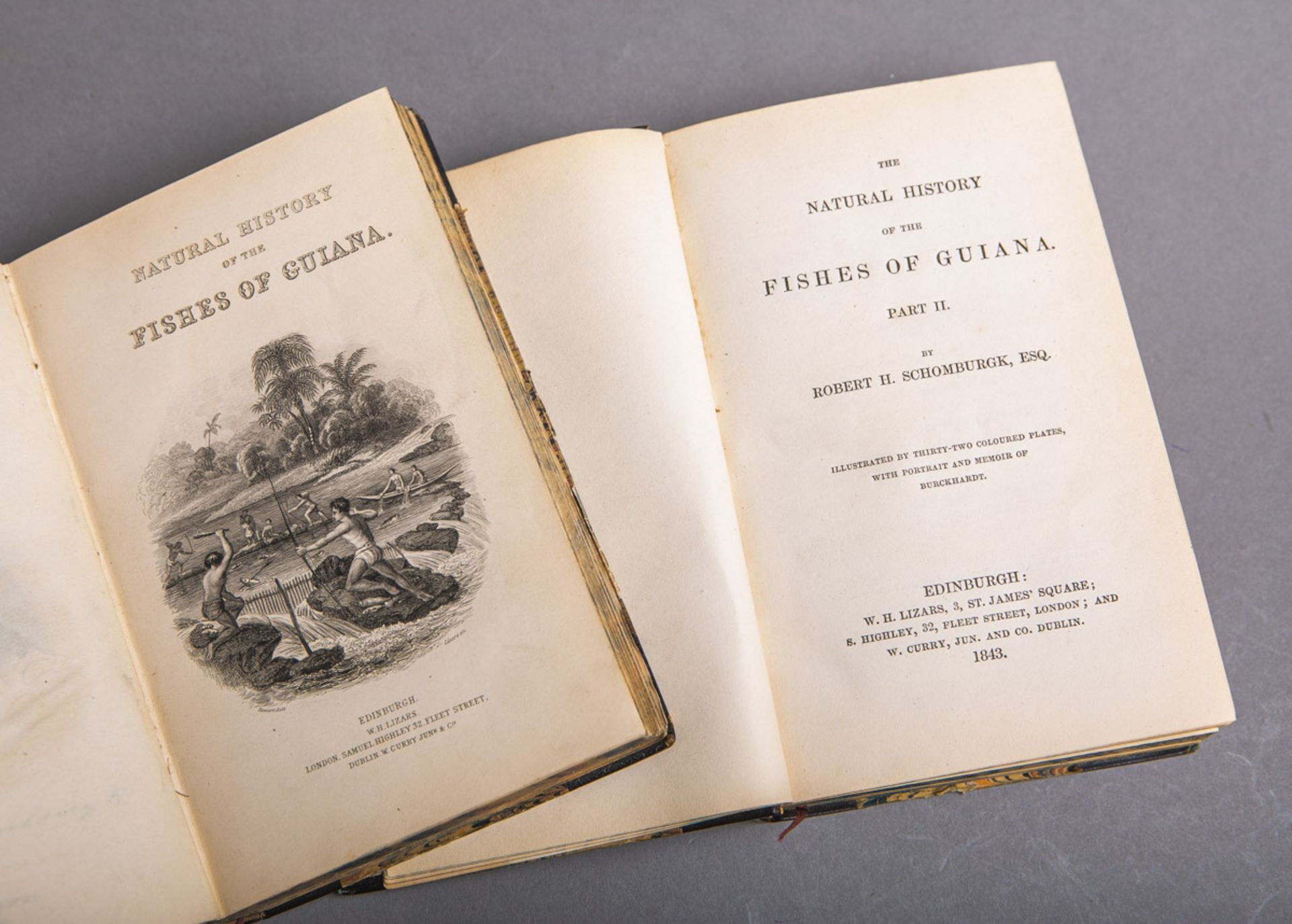 Schomburgk, Robert H., "The natural History of the fishes of Guiana"