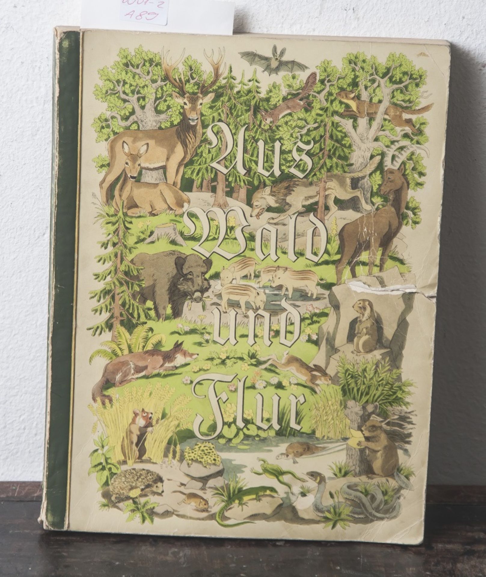 Zigarettenbilderalbum "Aus Wald und Flur - Tiere unserer Heimat"