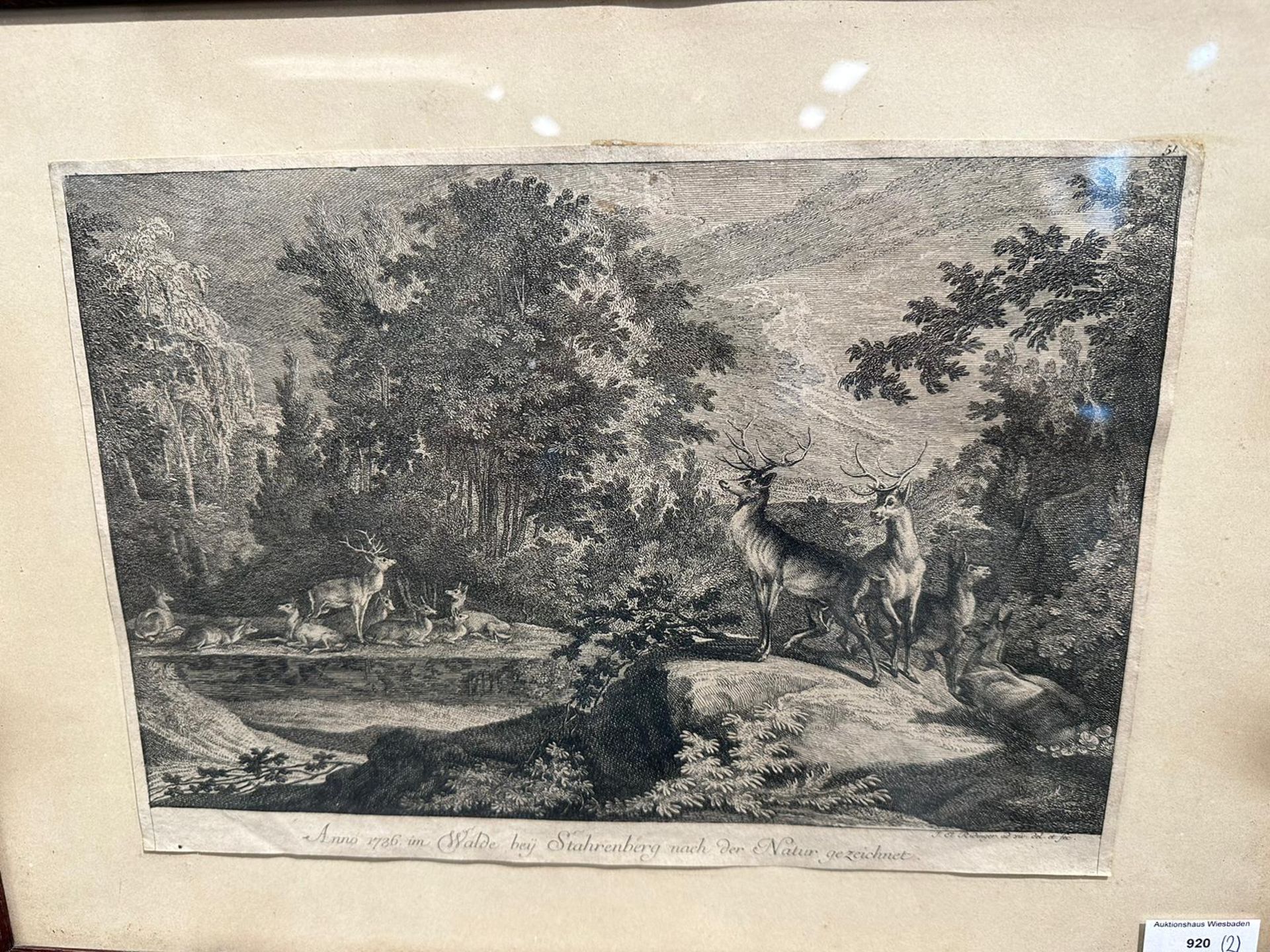 Ridinger, Johann Elias (1698 - 1767), 2 Kupferstiche - Bild 2 aus 14