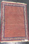 Teppich Sarough Mir (Iran)