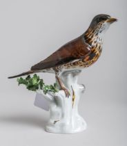 Porzellanfigurine "Vogeldarst. einer Drossel" (Meissen, 1. Wahl, 19. Jh.)