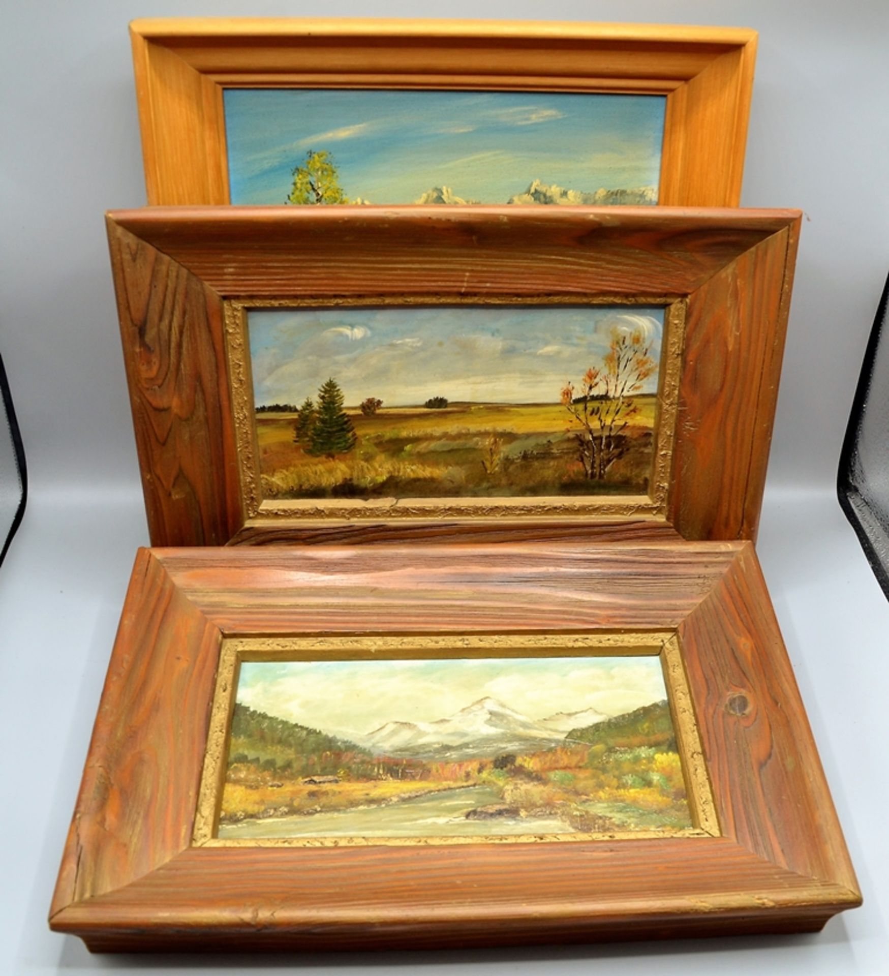 Landschaftsgemälde Gebirgslandschaften Konvolut 3-teilig, 2 St. ca. 39 x 27 cm u. 1 St. ca. 35 x 35