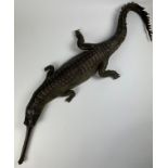 A LARGE TAXIDERMY GHARIAL (GAVIALIS GANGETICUS) FULL MOUNT CIRCA 1900,