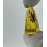 AN AMBER SPECIMEN WITH LARGE INSECT, From Chiapas, Mexico, circa 23-28 million years old. 2.95gms