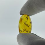 AN AMBER SPECIMEN WITH A SWARM OF BEES, From Chiapas, Mexico, circa 23-28 million years old.