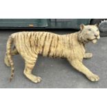 A TAXIDERMY TIGER FULL MOUNT CIRCA 1900