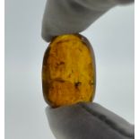 AN AMBER SPECIMEN WITH INSECTS, From Chiapas, Mexico, circa 23-28 million years old. 3.