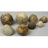 A COLLECTION OF FOSSILISED SEA URCHINS (8)