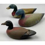 A SET OF THREE PAINTED DECOY DUCKS