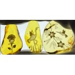 A SET OF THREE AMBER SPECIMENS, carved from reverse with floral motifs, hummingbirds and cranes.