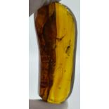 A FLYING INSECT AND FOLDED LEAF IN LARGE AMBER FREEFORM, 49.8gms 9cm in length From Chiapas, Mexico.