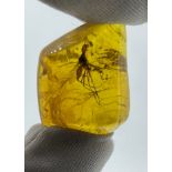 A WINGED INSECT IN AMBER, From Chiapas, Mexico. Circa 23-28 million years old.