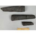A RARE FOSSILISED FIN SPINE OF AN ICHTHYODORULITE OR GYRACANTHUS SHARK,