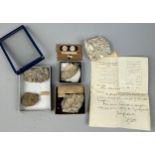 A COLLECTION OF FOSSILISED NUMMULITES, some in museum boxes all with old collection labels. One